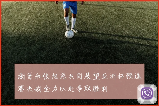 谢晋和张旭尧共同展望亚洲杯预选赛决战全力以赴争取胜利