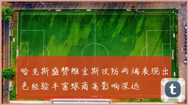 哈克斯盛赞维金斯攻防两端表现出色经验丰富球商高影响深远