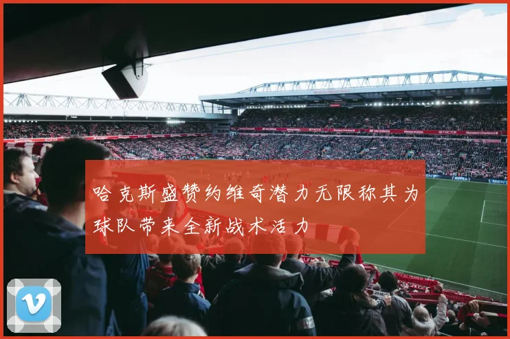 哈克斯盛赞约维奇潜力无限称其为球队带来全新战术活力