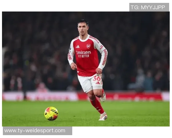 英超十佳引援评选揭晓扎卡谢尔基苏维门迪等球员表现出色